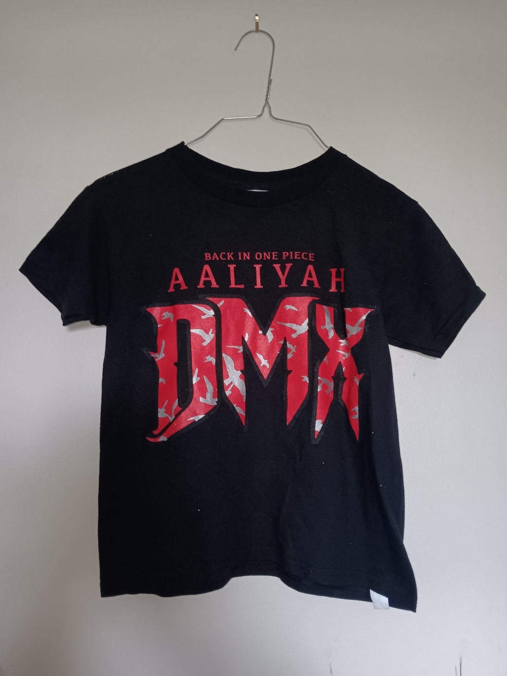 Kids Aaliyah Short Sleeve Graphic Tee - Black and Red